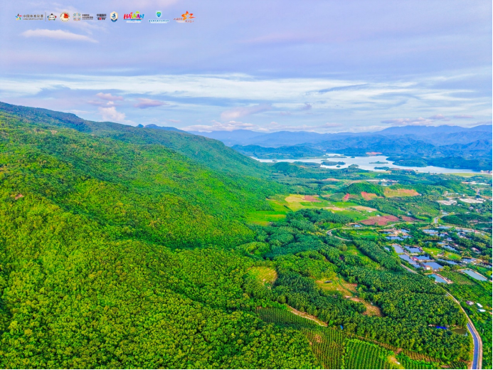 会指导, img 会指导, img