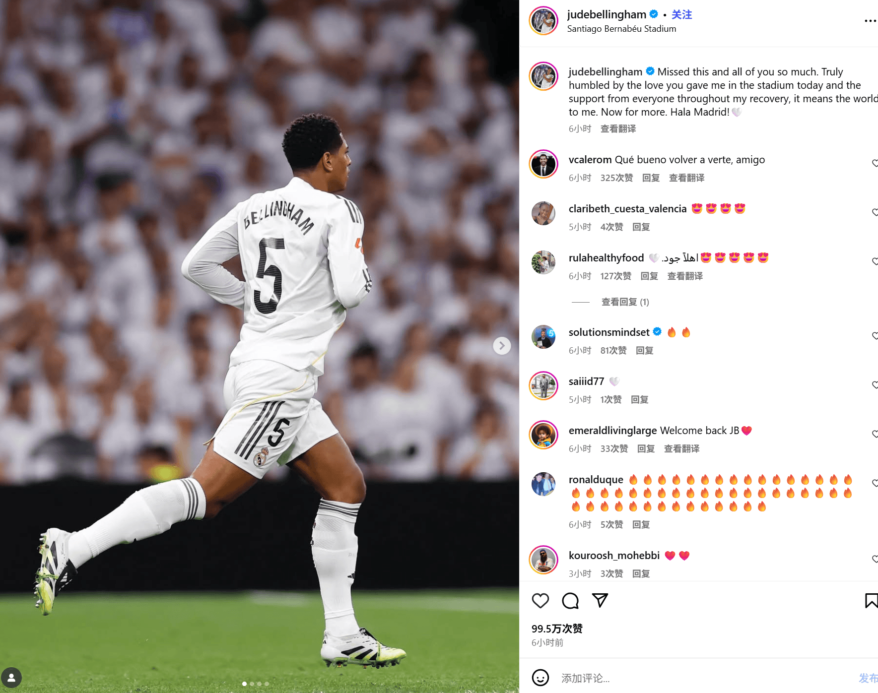 文谈复出, 贝林厄姆在