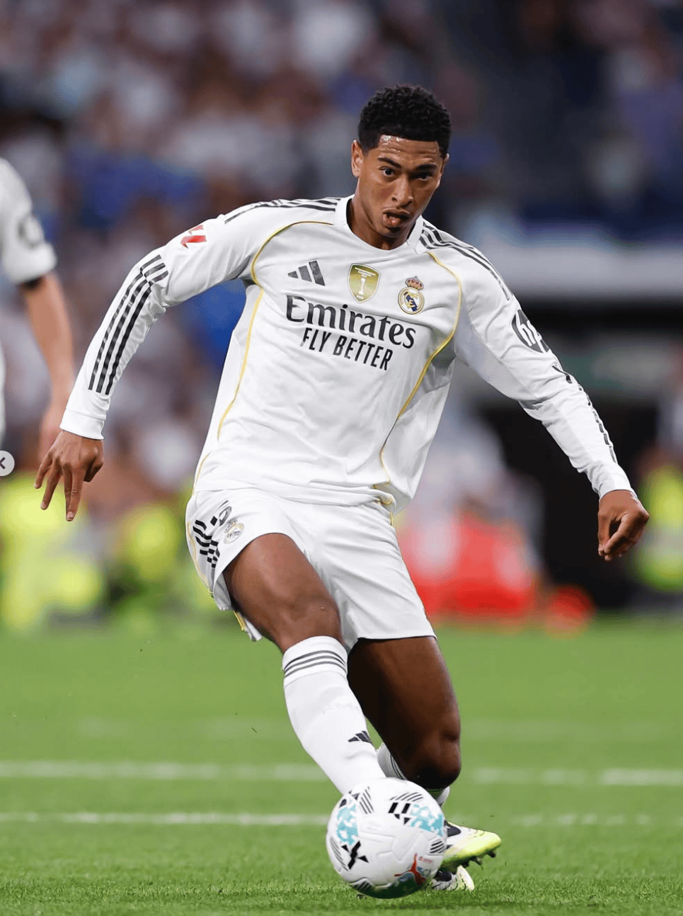 yid, 加油, 接下来