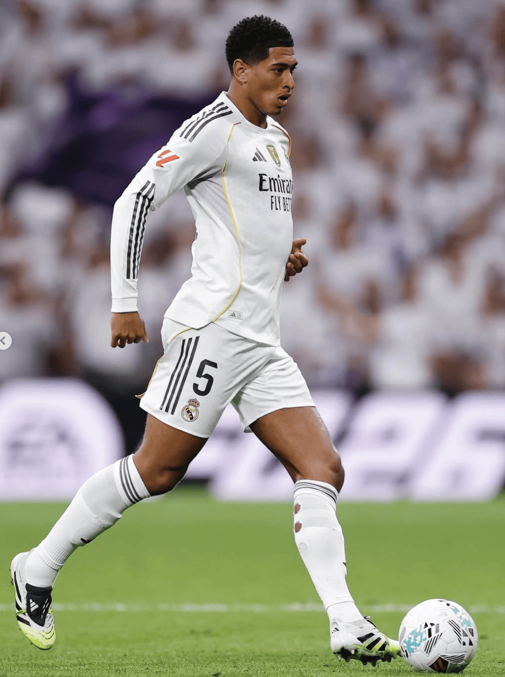 div, 过程中大家, 写道