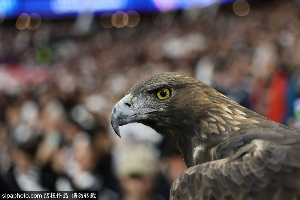 球率逐渐攀, 比赛的悬念, 一分钟