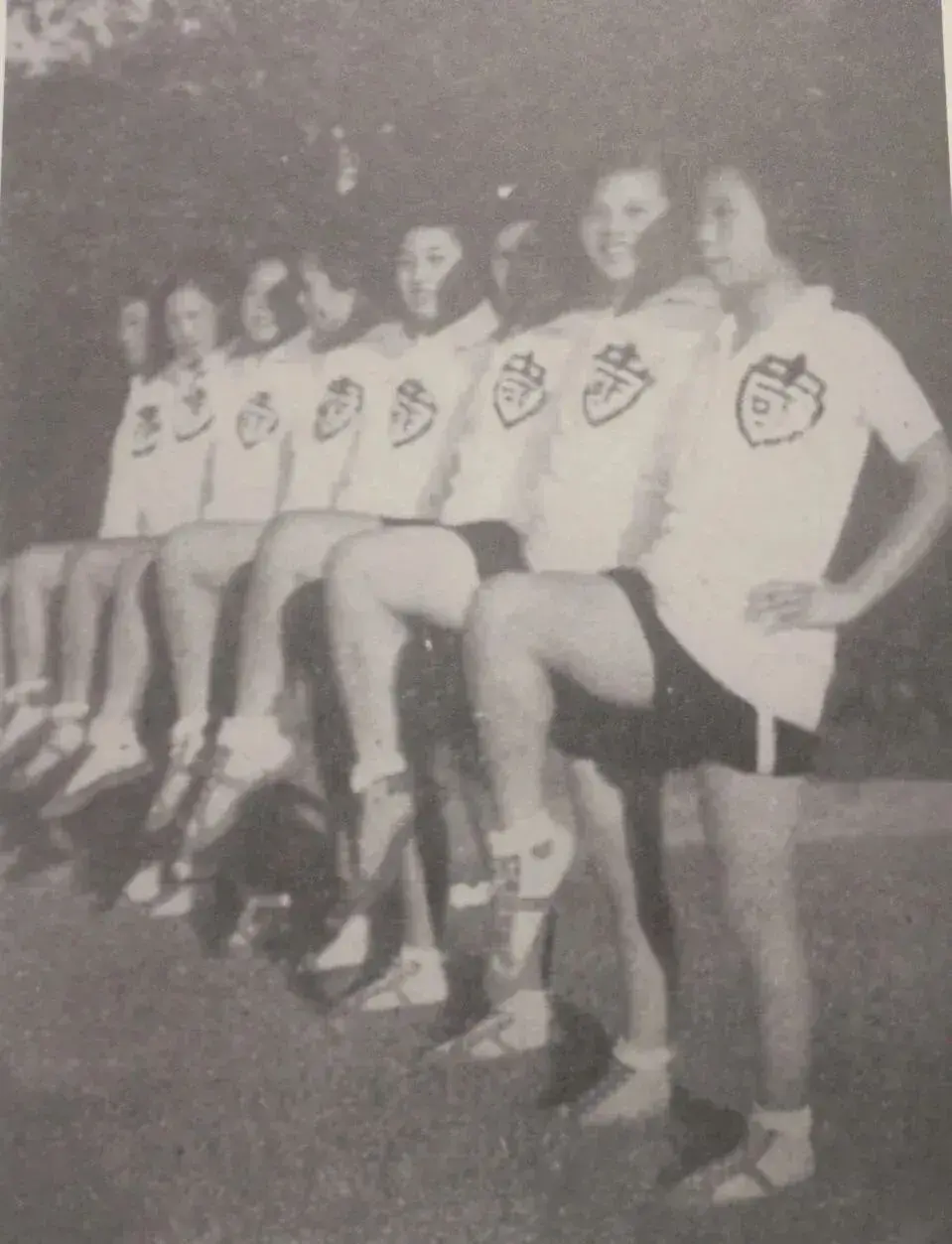 div, 中国体操学 div, 中国体操学