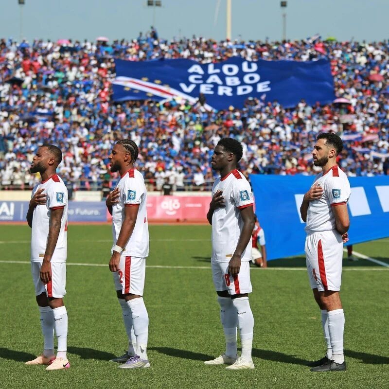 述他们拥有, 一些葡萄牙